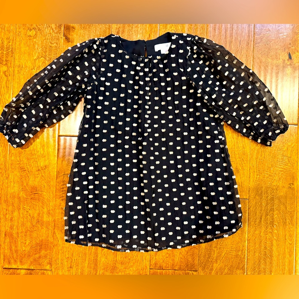 Zara Girls Black Organza Dress